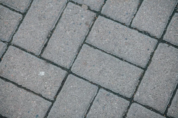 Gündüzleri şık bahçede çeşitli renklerde birbirine yakın köşeler.