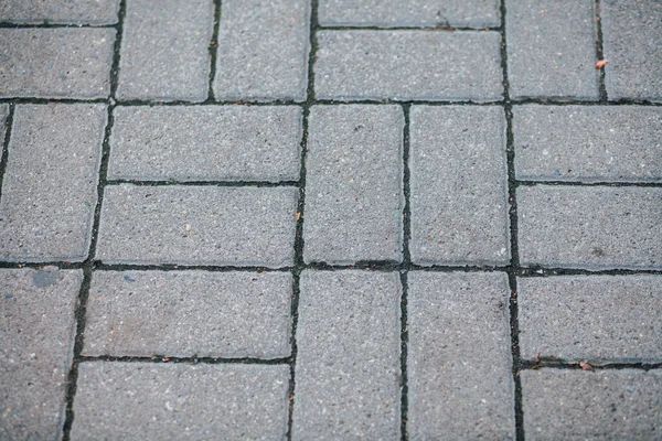 Gündüzleri şık bahçede çeşitli renklerde birbirine yakın köşeler.