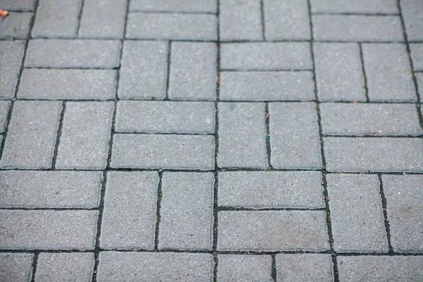 Gündüzleri şık bahçede çeşitli renklerde birbirine yakın köşeler.