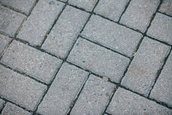 Nested Pavers Various Colors Chic Garden Daytime — Stock Photo, Image