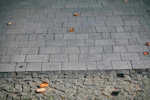 Gündüzleri şık bahçede çeşitli renklerde birbirine yakın köşeler.