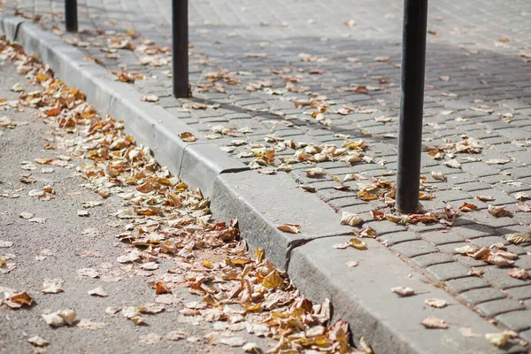 Parktaki yürüyüş yolunda demir kazıklı taşlar. 