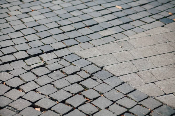 Gündüzleri şık bahçede çeşitli renklerde birbirine yakın köşeler.