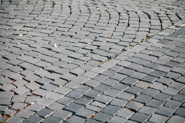 Gündüzleri şık bahçede çeşitli renklerde birbirine yakın köşeler.