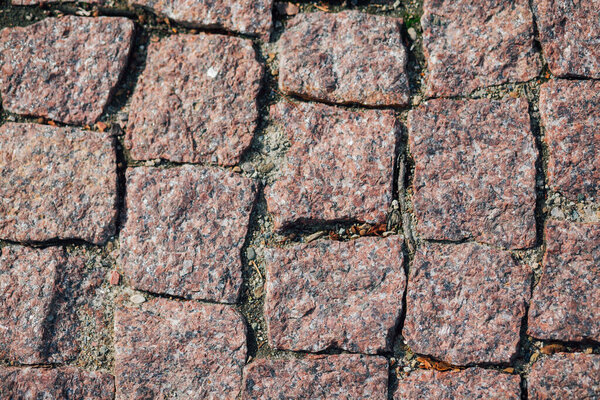 Nested pavers of various colors in chic garden at daytime