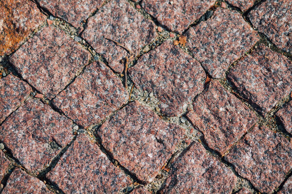 Nested pavers of various colors in chic garden at daytime