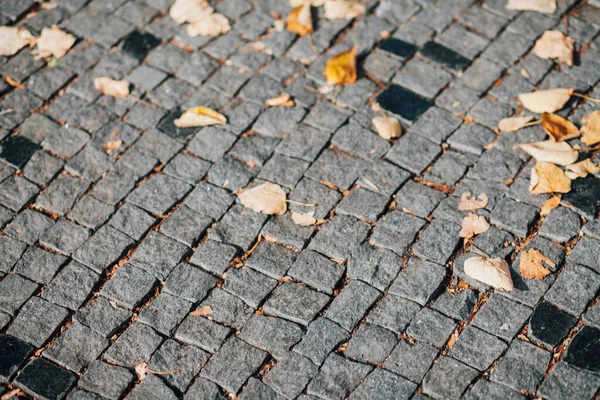 Geschachtelte Pflastersteine Verschiedenen Farben Schicken Garten Tagsüber — Stockfoto