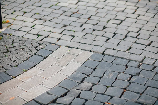 Gündüzleri şık bahçede çeşitli renklerde birbirine yakın köşeler.