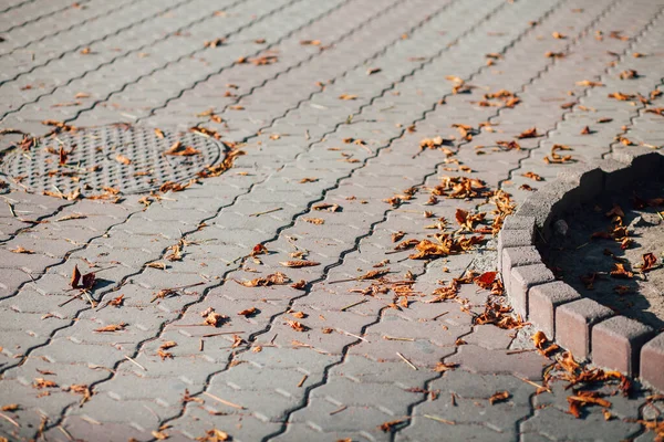 Gündüzleri şık bahçede çeşitli renklerde birbirine yakın köşeler.