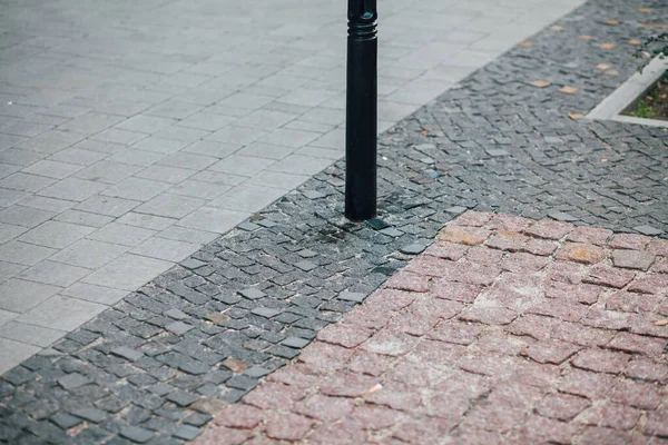 Gündüzleri şık bahçede çeşitli renklerde birbirine yakın köşeler.