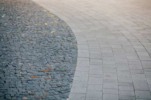 Gündüzleri şık bahçede çeşitli renklerde birbirine yakın köşeler.