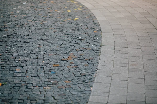 Gündüzleri şık bahçede çeşitli renklerde birbirine yakın köşeler.