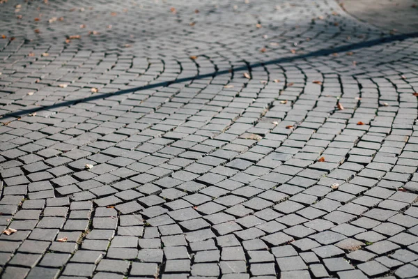 Pavimentazioni Nidificate Vari Colori Giardino Chic Durante Giorno — Foto Stock