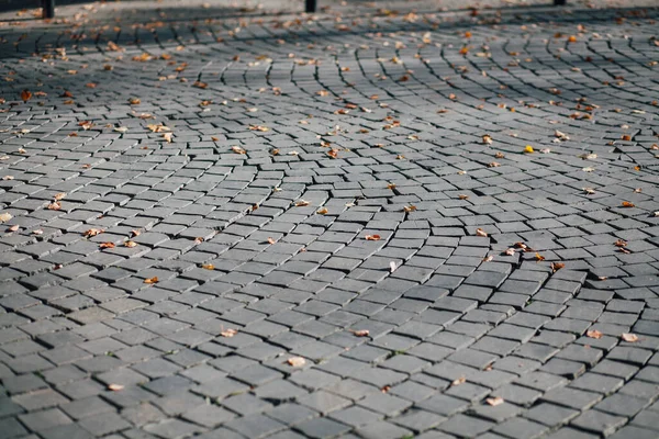Gündüzleri şık bahçede çeşitli renklerde birbirine yakın köşeler.
