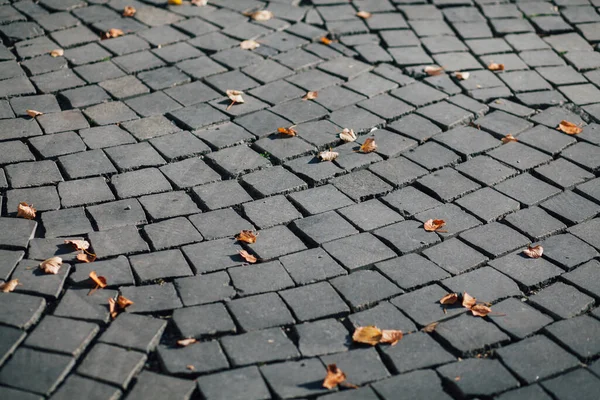 Gündüzleri şık bahçede çeşitli renklerde birbirine yakın köşeler.