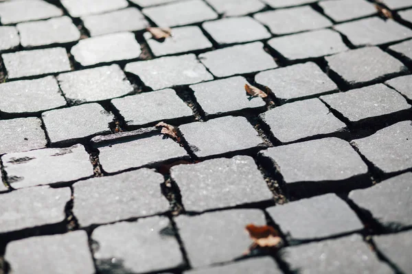 Gündüzleri şık bahçede çeşitli renklerde birbirine yakın köşeler.