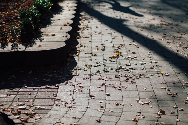 Geneste Straatstenen Van Verschillende Kleuren Chique Tuin Overdag — Stockfoto