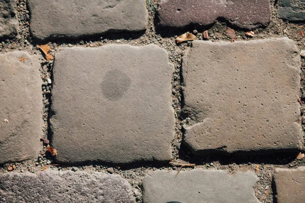 Gündüzleri şık bahçede çeşitli renklerde birbirine yakın köşeler.