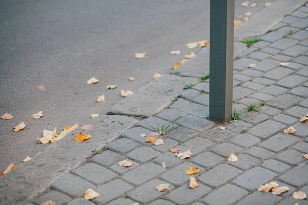 Parktaki yürüyüş yolunda demir kazıklı taşlar. 