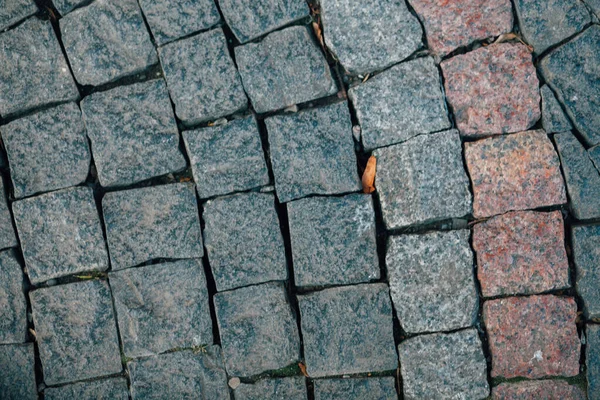 Gündüzleri şık bahçede çeşitli renklerde birbirine yakın köşeler.