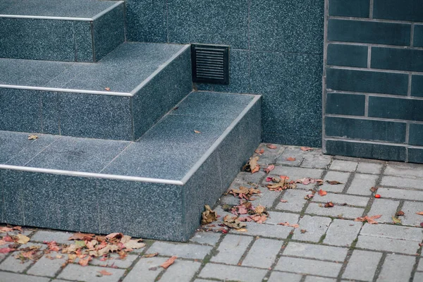 Gündüz vakti şehir parkında yürüyüş yolu taşları 