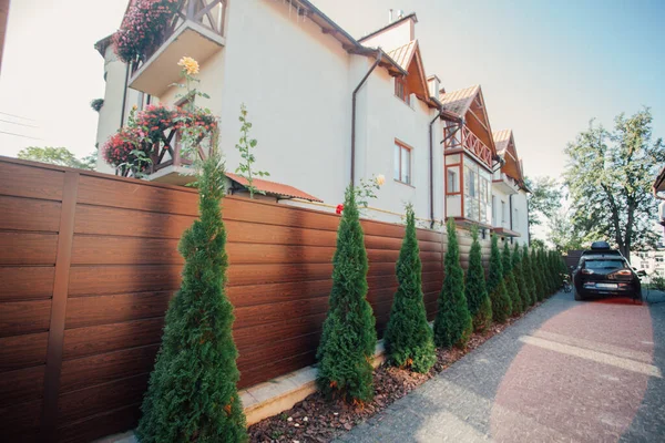 Yeni metal çitli yeşil ladin ağaçları