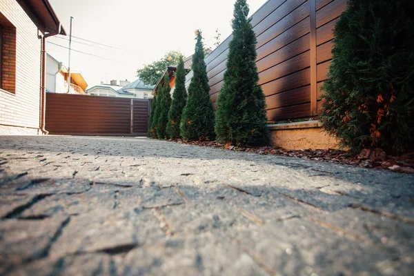 Yeni metal çitli yeşil ladin ağaçları