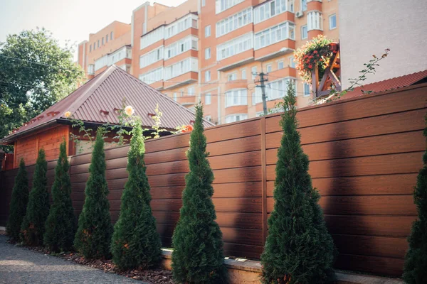 Yeni metal çitli yeşil ladin ağaçları