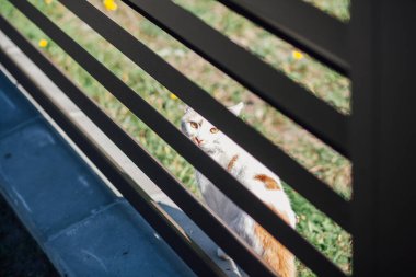 Yeni bir metal çitin parçası