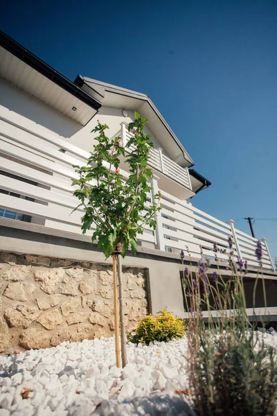 Kırsal kesimdeki modern evin dışında.