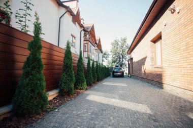 Yeni metal çitli yeşil ladin ağaçları