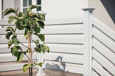 Kırsal kesimdeki modern evin dışında.