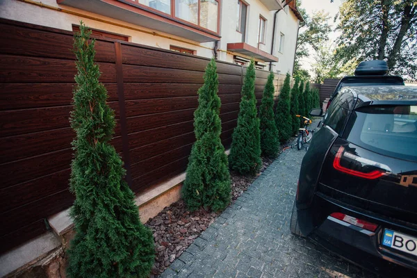 Yeni metal çitli yeşil ladin ağaçları