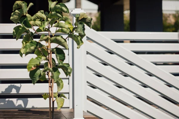 Kırsal kesimdeki modern evin dışında.