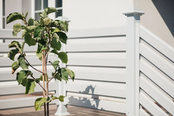 Kırsal kesimdeki modern evin dışında.