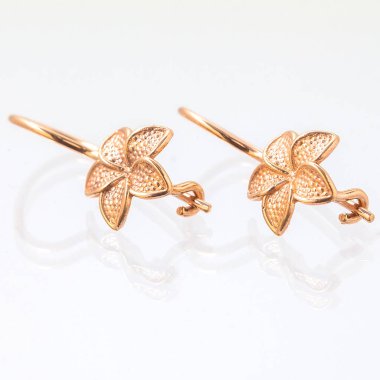 Beyaz arka planda izole edilmiş bir çift altın küpe.