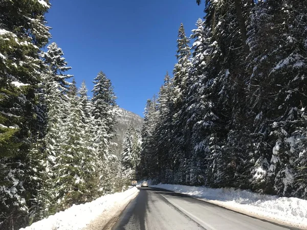 Schöne Winterszene Mit Eisglatter Straße Fahrsituation Geschwungene Straße Mit Schnee — Stockfoto