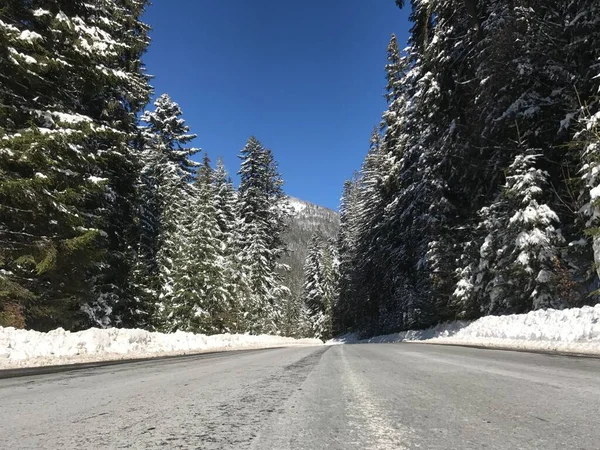 Beautiful Winter Scene Icy Slick Road Driving Situation Curving Road — Stock Photo, Image