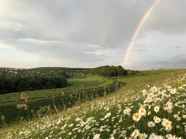 Wunderschöne Landschaft Mit Regenbogen Und Feld lizenzfreie Stockfotos
