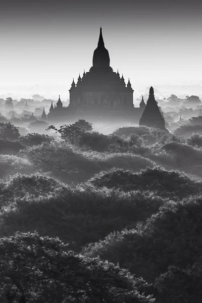 Pagodas avec brouillard marin à Bagan, Myanmar — Photo