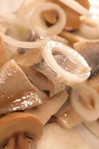 Prepared herring — Stock Photo, Image