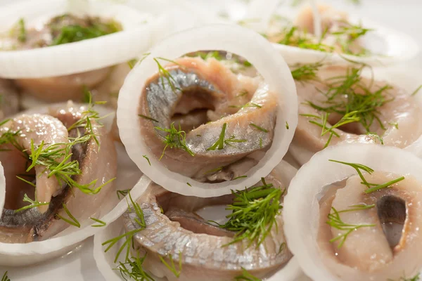 Herring rolls — Stock Photo, Image