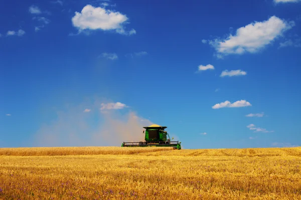 Harvest time Royalty Free Stock Images