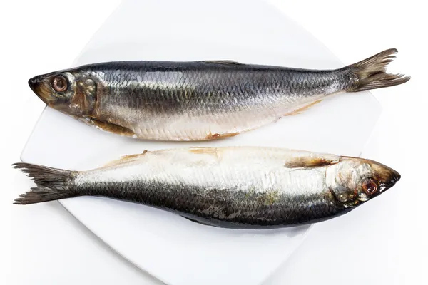 Tuzlanmış ringa balığı