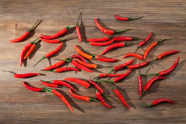 Rote Chilischoten — Stockfoto