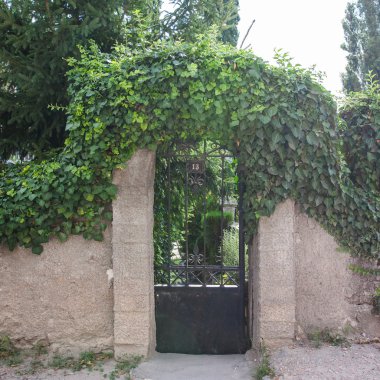 Ivy kapısı