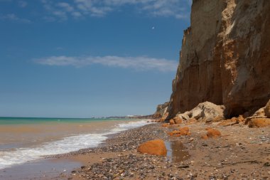 plaj şemsiyesi ve kuş