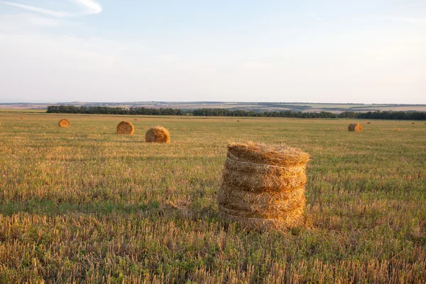 Haystacks field — Stock Photo, Image