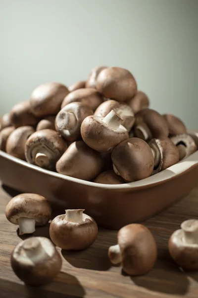 Cogumelos ainda vida — Fotografia de Stock