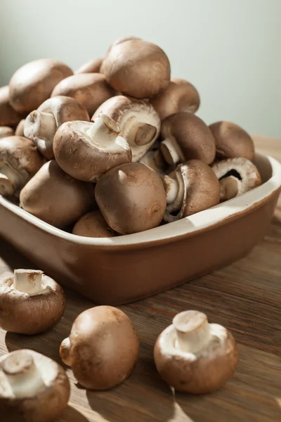 蘑菇静物 — 图库照片